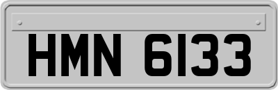 HMN6133