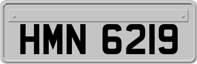 HMN6219