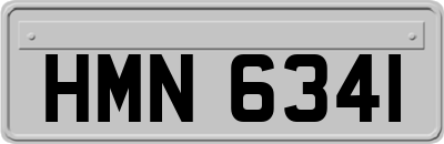 HMN6341