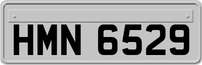HMN6529