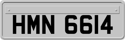 HMN6614