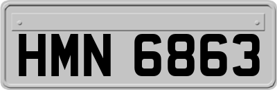 HMN6863