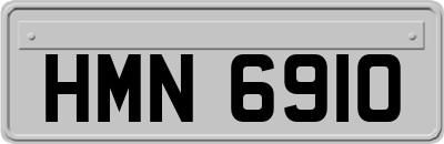 HMN6910