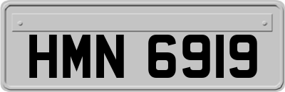 HMN6919