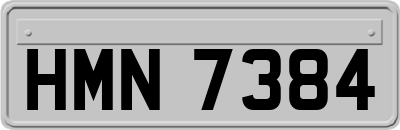 HMN7384