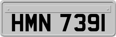 HMN7391