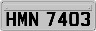 HMN7403