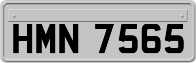 HMN7565