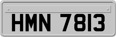 HMN7813