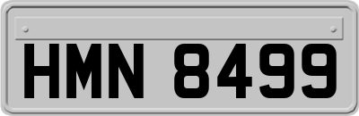HMN8499