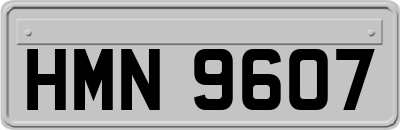 HMN9607