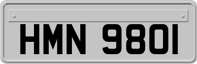 HMN9801