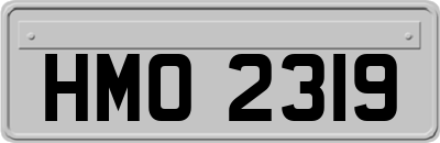 HMO2319