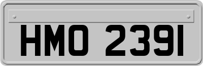 HMO2391