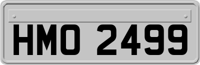HMO2499