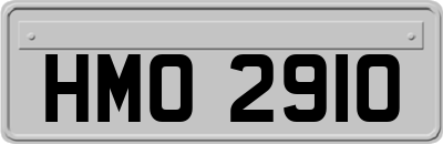 HMO2910