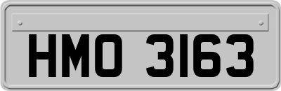 HMO3163