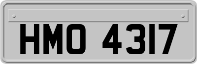 HMO4317