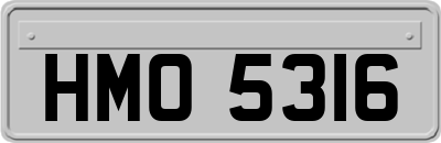 HMO5316