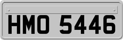 HMO5446