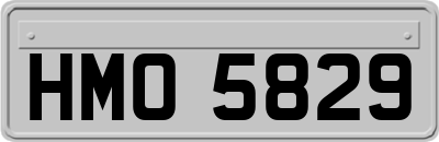 HMO5829