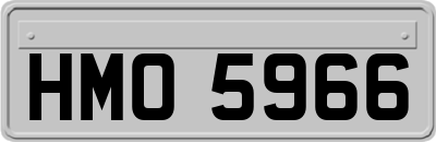 HMO5966