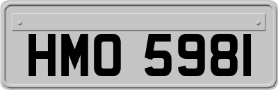 HMO5981