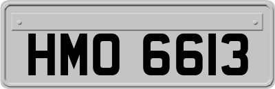 HMO6613