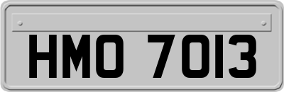 HMO7013