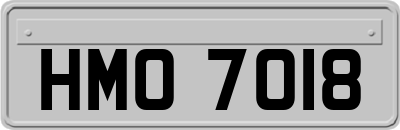 HMO7018
