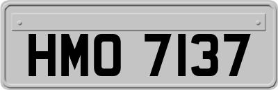 HMO7137
