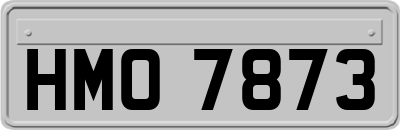 HMO7873
