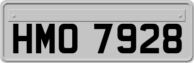 HMO7928