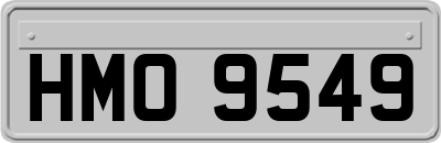 HMO9549
