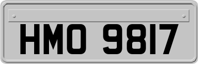 HMO9817