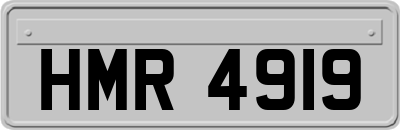HMR4919