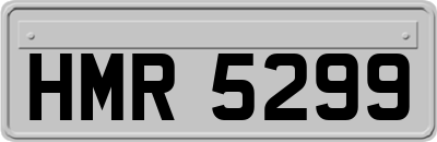HMR5299