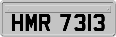 HMR7313