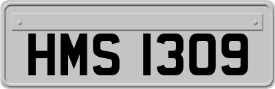 HMS1309