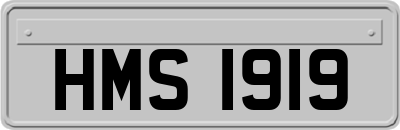HMS1919