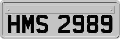 HMS2989