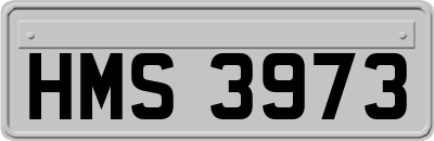 HMS3973