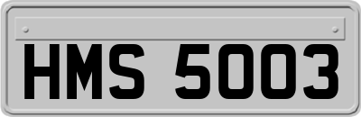 HMS5003