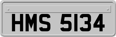 HMS5134