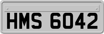 HMS6042