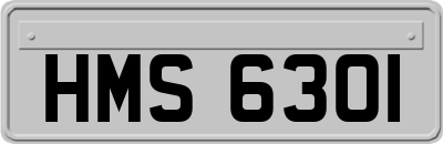 HMS6301