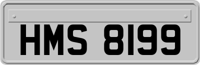 HMS8199