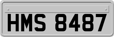 HMS8487