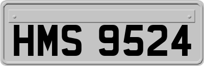 HMS9524