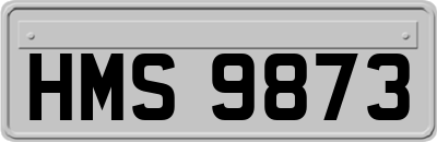 HMS9873